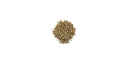 10 Health Benefits of Anise Seed