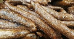 10 Health Benefits of Cassava
