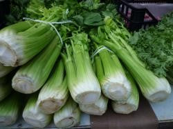 13 Health Benefits of Celery