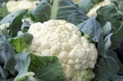 8 Health Benefits Of Cauliflower