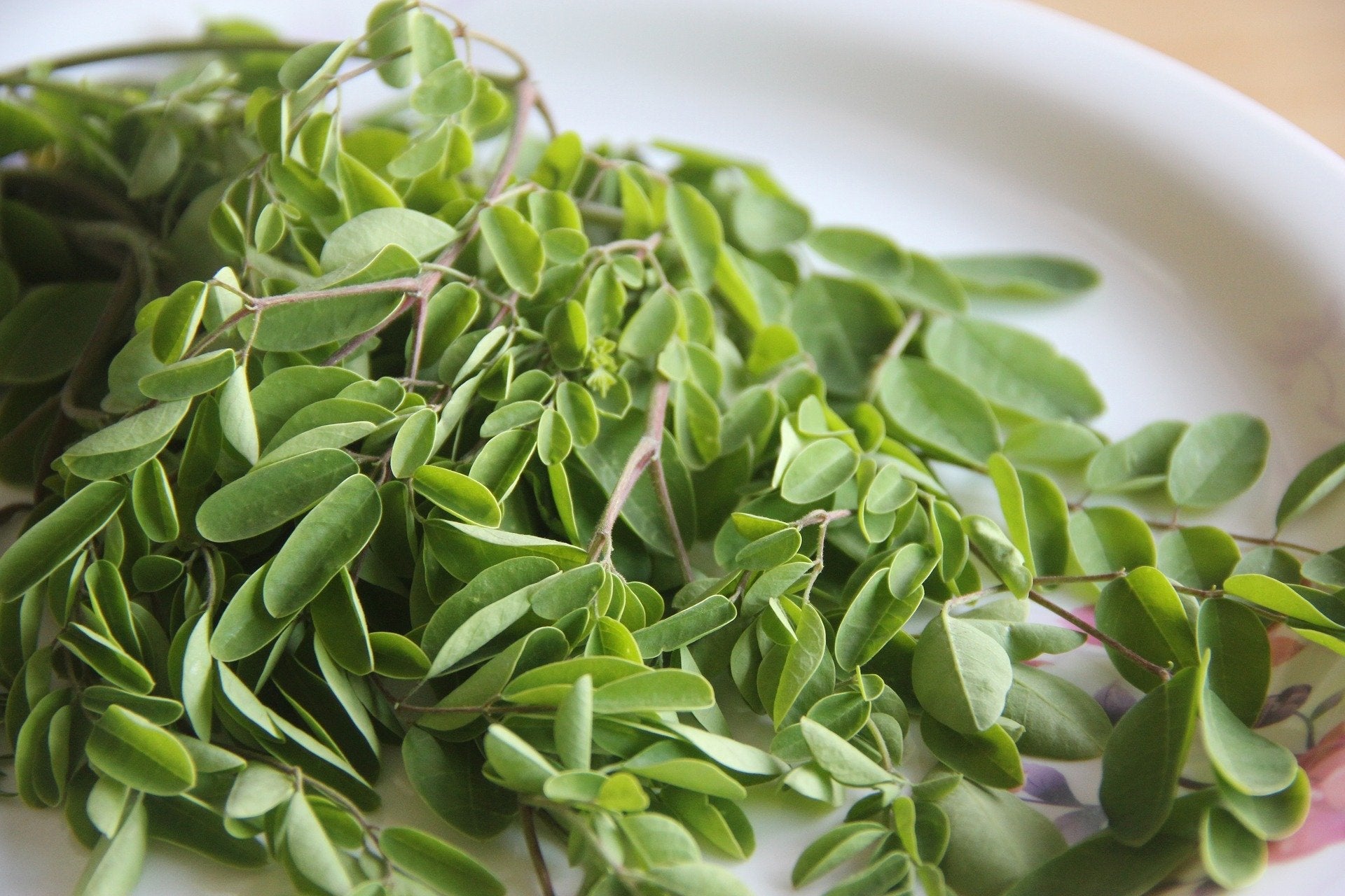 Moringa Leaves – 16 Health Benefits