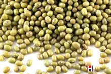 Mung Beans and Moong Dal