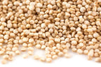 Quinoa Grain