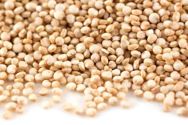 Quinoa Grain