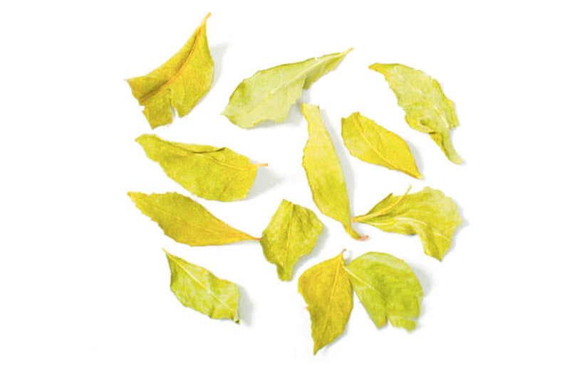 Curry Leaves 10g