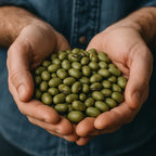 Roasted & Salted Edamame Beans 500g