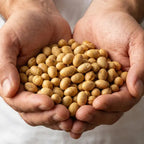 Soy Beans, Roasted & Salted 500g