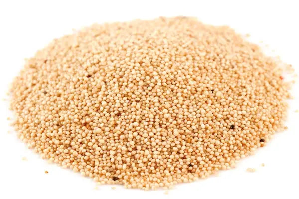 Organic Amaranth Grain