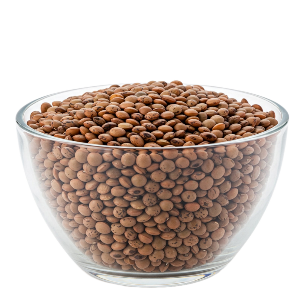 Organic Brown Lentils