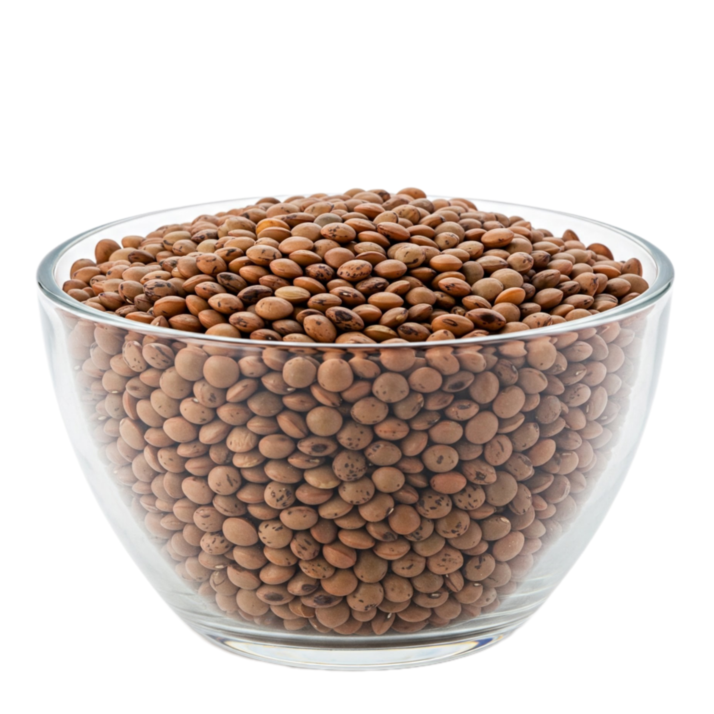 Organic Brown Lentils