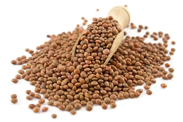 Organic Brown Lentils