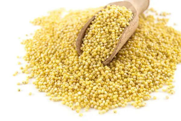 Organic Millet Grain