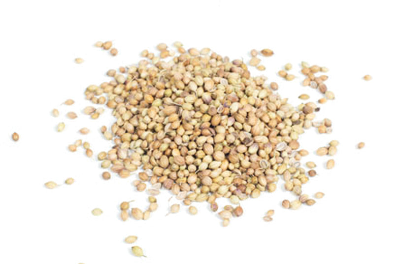 Whole Coriander Seed 100g
