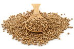Organic Coriander Seeds