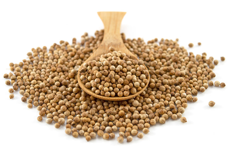 Organic Coriander Seeds