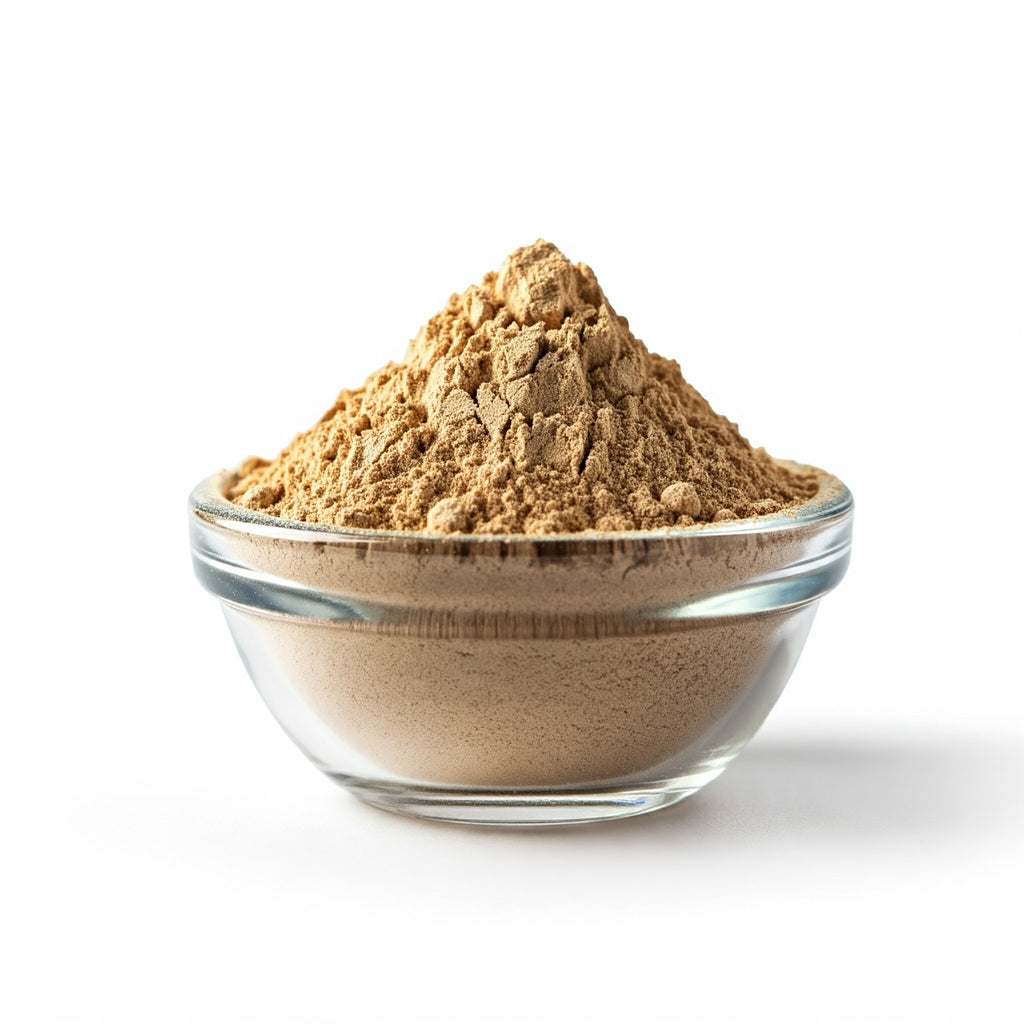 Premium Coriander Powder
