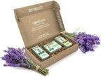 Garnier Organic Lavandin Set