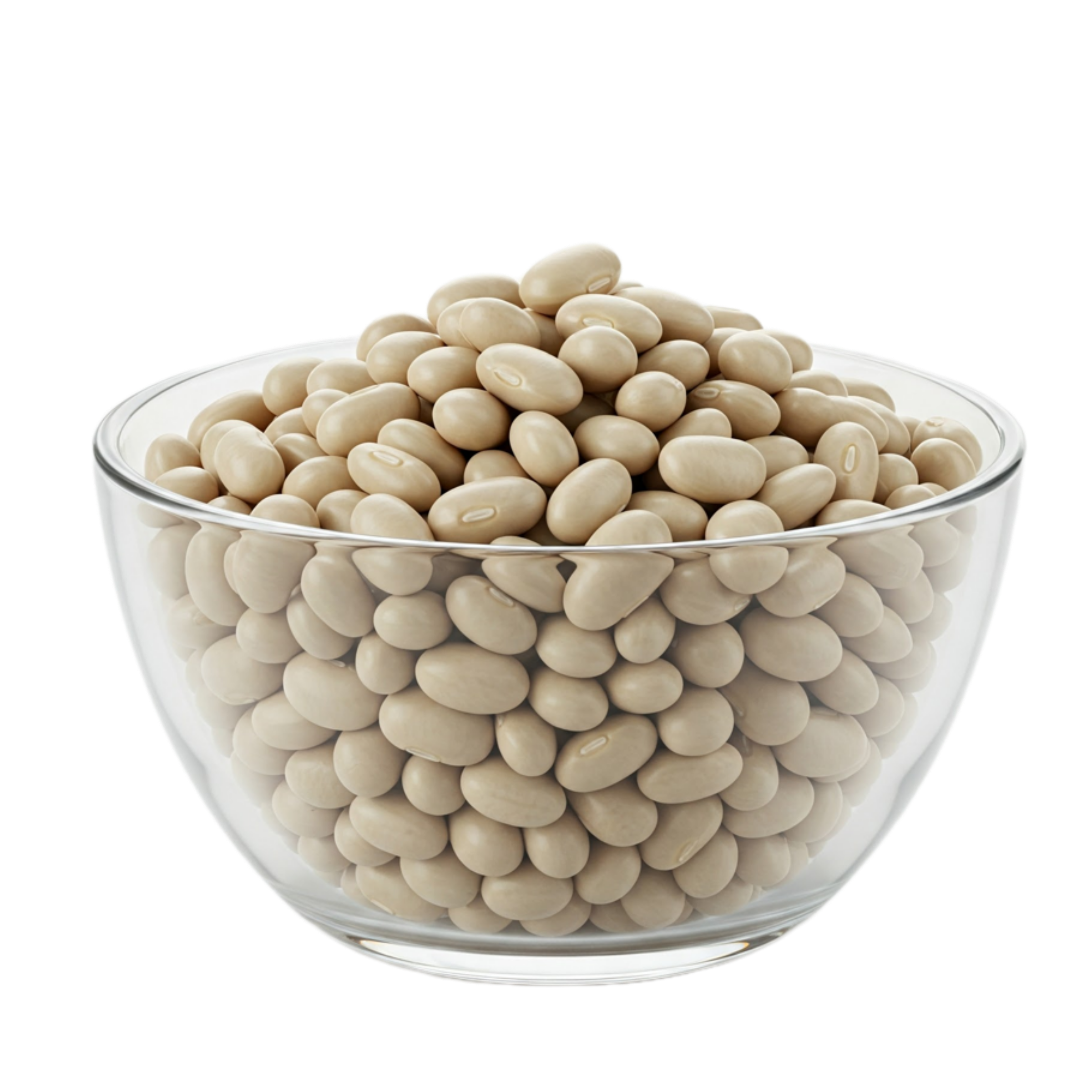 Organic Haricot Beans 500g
