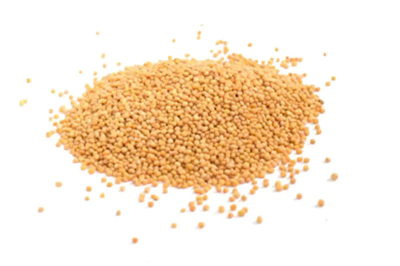 Mustard: Yellow Mustard Seeds 100g