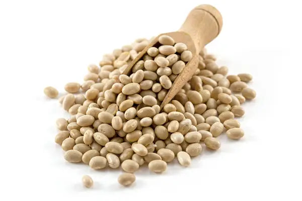 Organic Haricot Beans 500g
