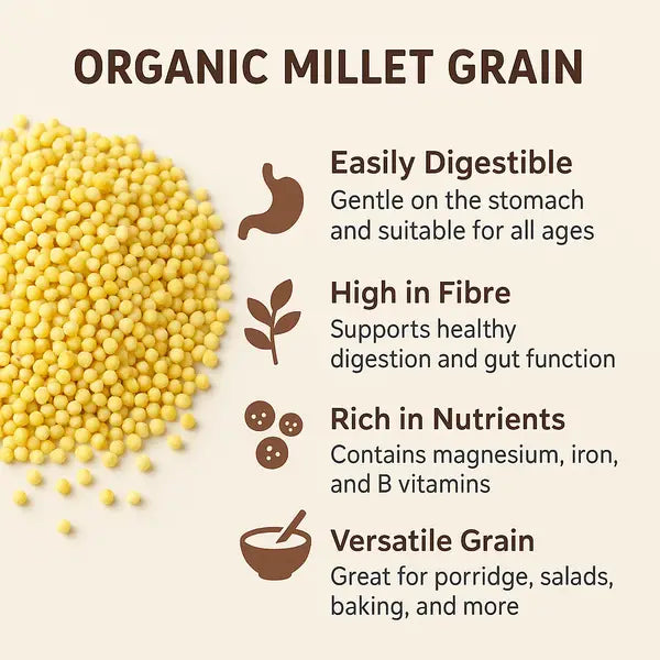 Organic Millet Grain
