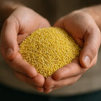 Organic Millet Grain