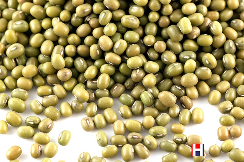 Organic Mung Beans
