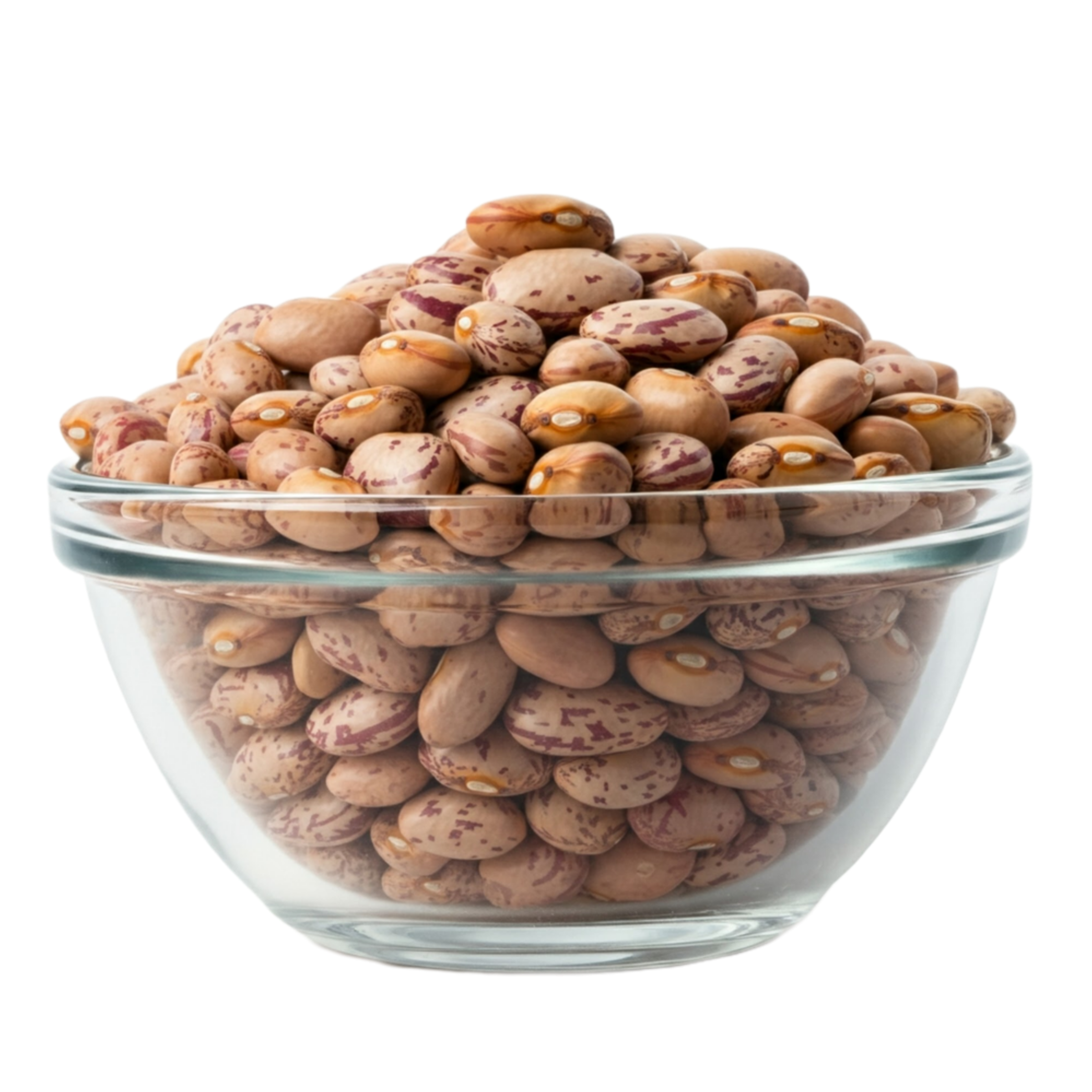 Organic Pinto Beans