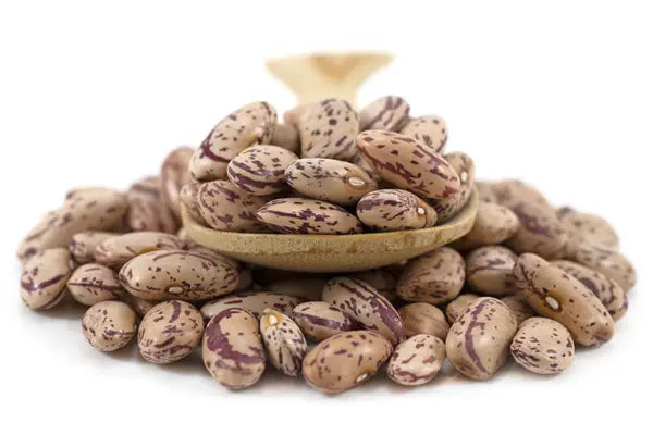 Organic Pinto Beans