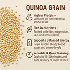 Quinoa Grain