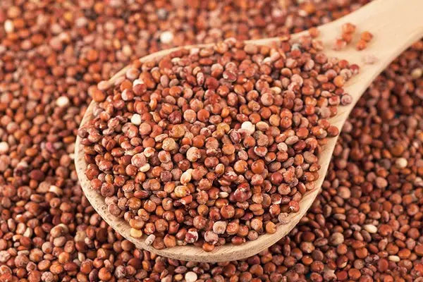 Organic Red Quinoa