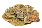 Senna Pods