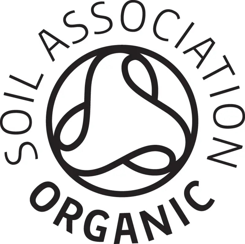 Organic Onion Powder 100g