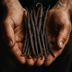 Organic Bourbon Vanilla 2 Pods