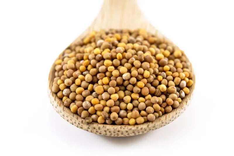 Organic Yellow Mustard Seeds 100g
